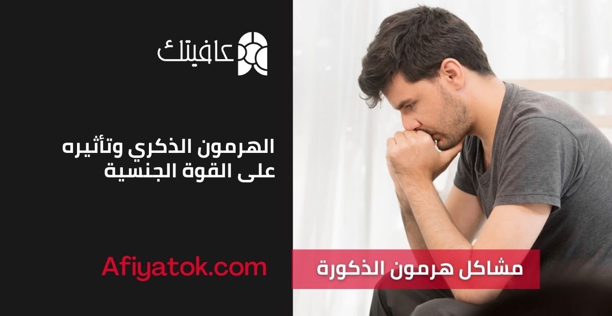 الهرمون الذكري وتأثيره على القوة الجنسية