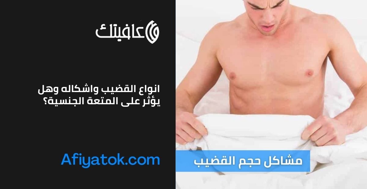 انواع القضيب واشكاله وهل يؤثر على المتعة الجنسية؟