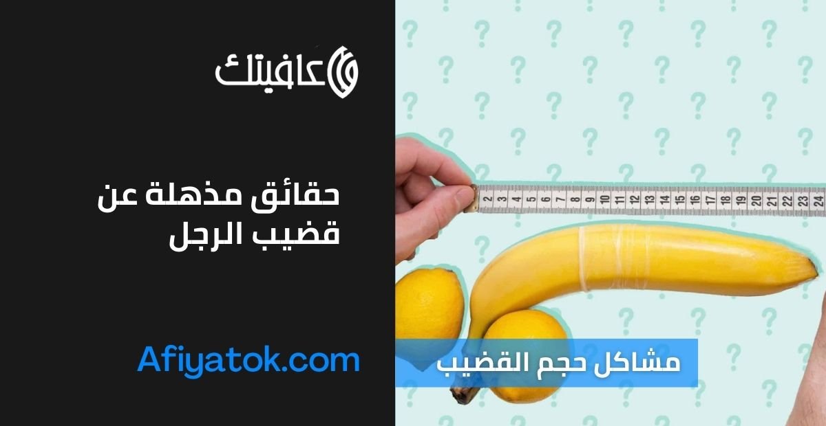 حقائق مذهلة عن قضيب الرجل