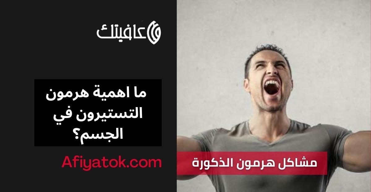 ما اهمية هرمون التستيرون في الجسم؟